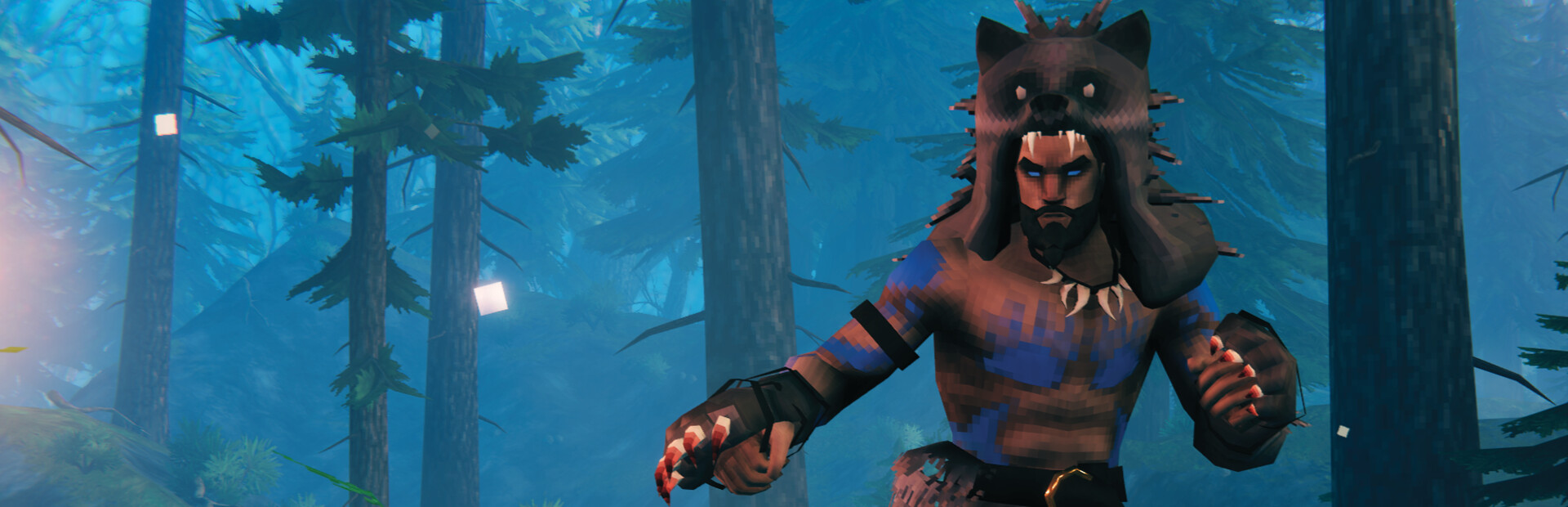 Valheim Banner